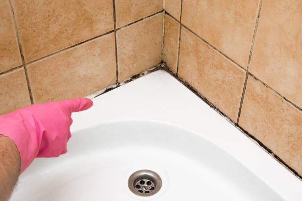 Best Mold Testing and Inspection Services in Hiram, GA